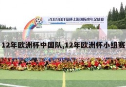 12年欧洲杯中国队,12年欧洲杯小组赛