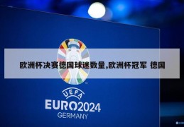 欧洲杯决赛德国球迷数量,欧洲杯冠军 德国