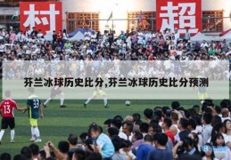 芬兰冰球历史比分,芬兰冰球历史比分预测