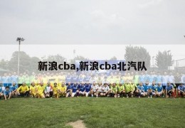 新浪cba,新浪cba北汽队