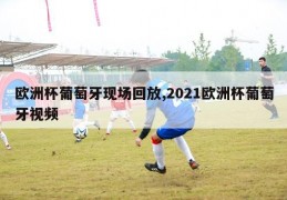 欧洲杯葡萄牙现场回放,2021欧洲杯葡萄牙视频