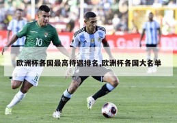 欧洲杯各国最高待遇排名,欧洲杯各国大名单