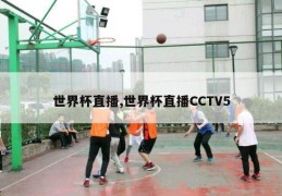 世界杯直播,世界杯直播CCTV5