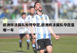 欧洲杯法国队如何夺冠,欧洲杯法国队夺冠是哪一年