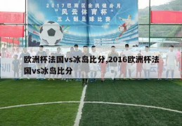 欧洲杯法国vs冰岛比分,2016欧洲杯法国vs冰岛比分