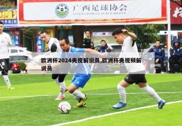 欧洲杯2024央视解说员,欧洲杯央视频解说员