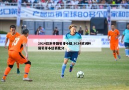 2024欧洲杯葡萄牙小组,2024欧洲杯葡萄牙小组赛比分