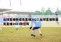 台球直播斯诺克直播2023,台球直播斯诺克直播2023斯佳辉